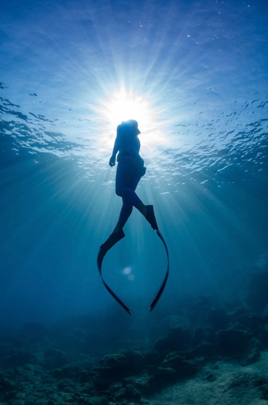 Cortex Freediving gallery photo 4